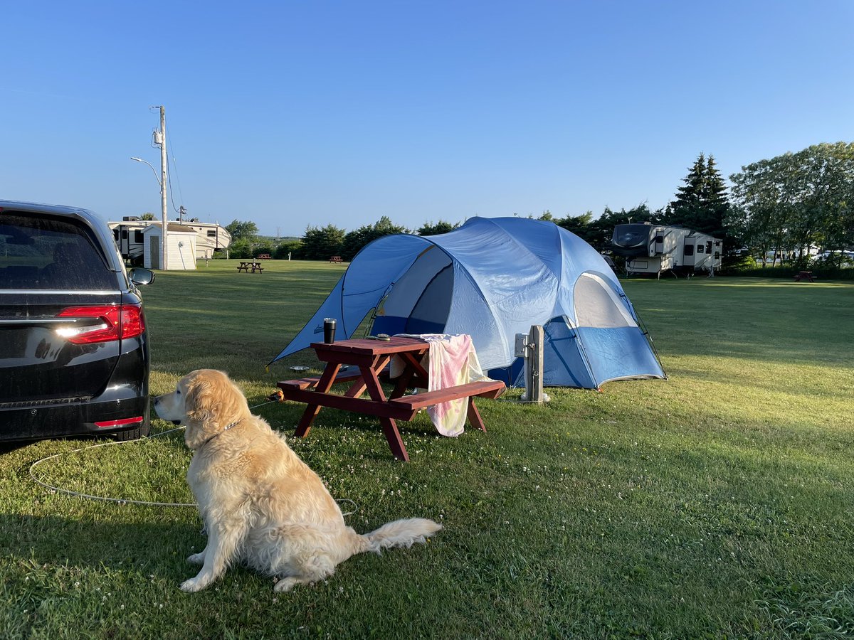 Karen Banfield Hare tweet media