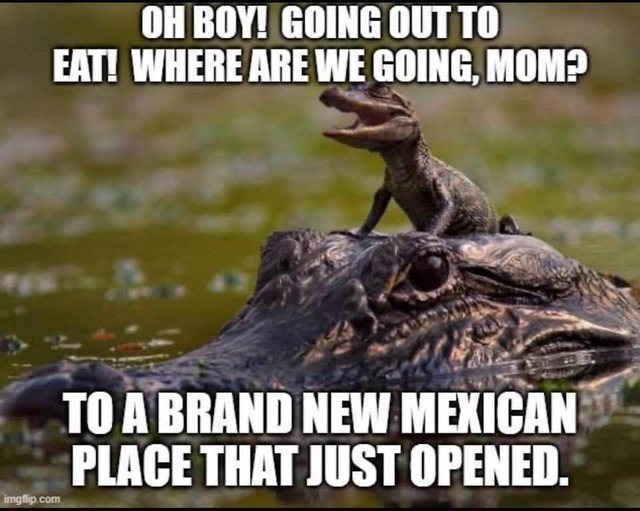 😂