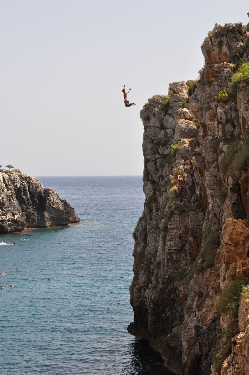 some leaps are instinct
