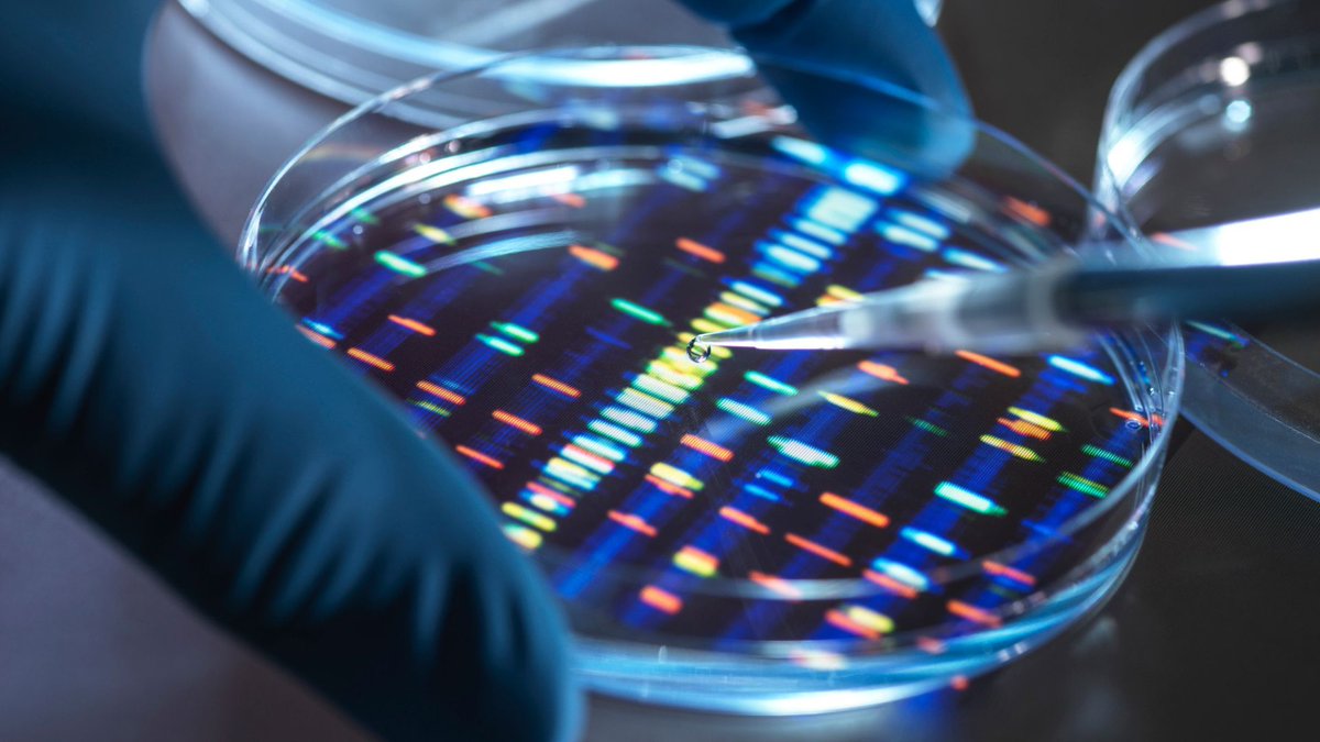 Ronald van Loon (@ronald_vanloon) on Twitter photo UK: World’s first artificial human DNA project sparks both hopes and fears
by <a href="/MrigDixit/">Mrigakshi Dixit</a> <a href="/IntEngineering/">Interesting Engineering</a>
Learn more: bit.ly/4kfVtWk
#EmergingTech #Technology #Innovation #Tech
cc: @kirkdborne <a href="/gp_pulipaka/">Dr. Ganapathi Pulipaka 🇺🇸</a> @yuhelenyu UK: World’s first artificial human DNA project sparks both hopes and fears
by <a href="/MrigDixit/">Mrigakshi Dixit</a> <a href="/IntEngineering/">Interesting Engineering</a>
Learn more: bit.ly/4kfVtWk
#EmergingTech #Technology #Innovation #Tech
cc: @kirkdborne <a href="/gp_pulipaka/">Dr. Ganapathi Pulipaka 🇺🇸</a> @yuhelenyu