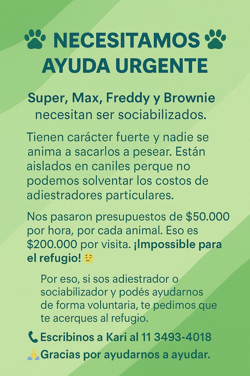 AdopcionesQ's tweet photo. si sos adiestrador o sociabilizador y podés ayudarnos de forma voluntaria, te pedimos que nos envíes WhatsApp.
¡Ellos también merecen una segunda oportunidad!

📲 Escribinos a Kari al 11 3493-4018
🙏 Gracias por ayudarnos a ayudar. https://t.co/lISnVQM36X