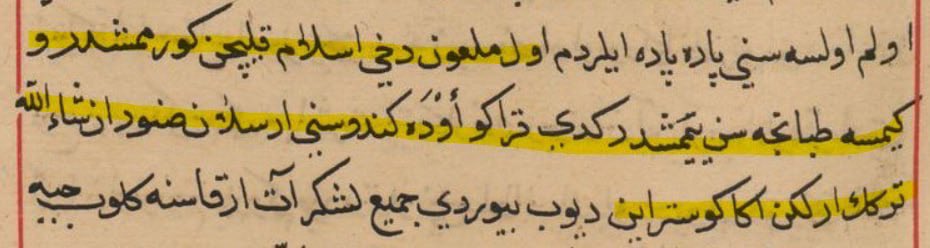 “ol melʿūn dahı islām kılıcın görmemişdür ve kimse tabancasın yėmemişdür. kedi karaŋu evde kendüsini arslan sanur. inşāʾallāh türk'üŋ erliğin aŋa gösterayın”