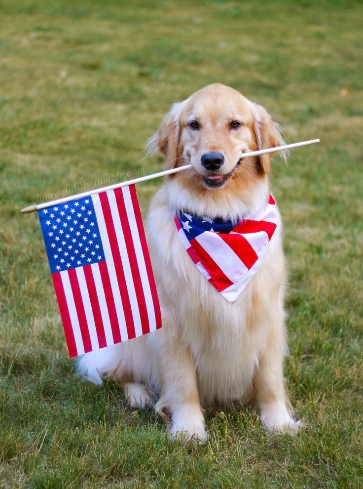 <a href="/Dolly_Vet/">Well,Hello Dolly</a> <a href="/oh_laa_laa/">💞 𝒲ℋℐ𝒮𝒫ℰℛ 💞( 𝓐𝓵 ) 🥰</a> <a href="/SecDef/">Secretary of Defense Pete Hegseth</a> <a href="/CNN/">CNN</a> Always a pleasure dearest friend 🌹🥰🩵