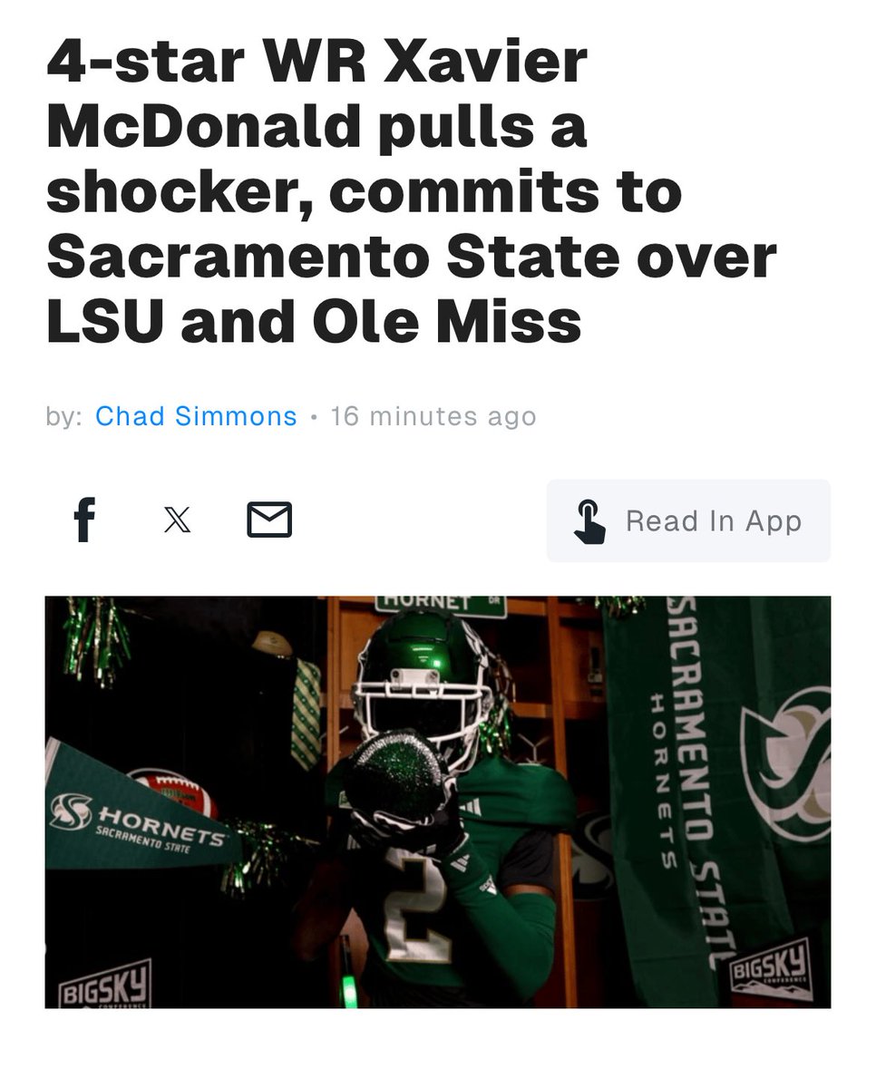 Jamo🐝 tweet media