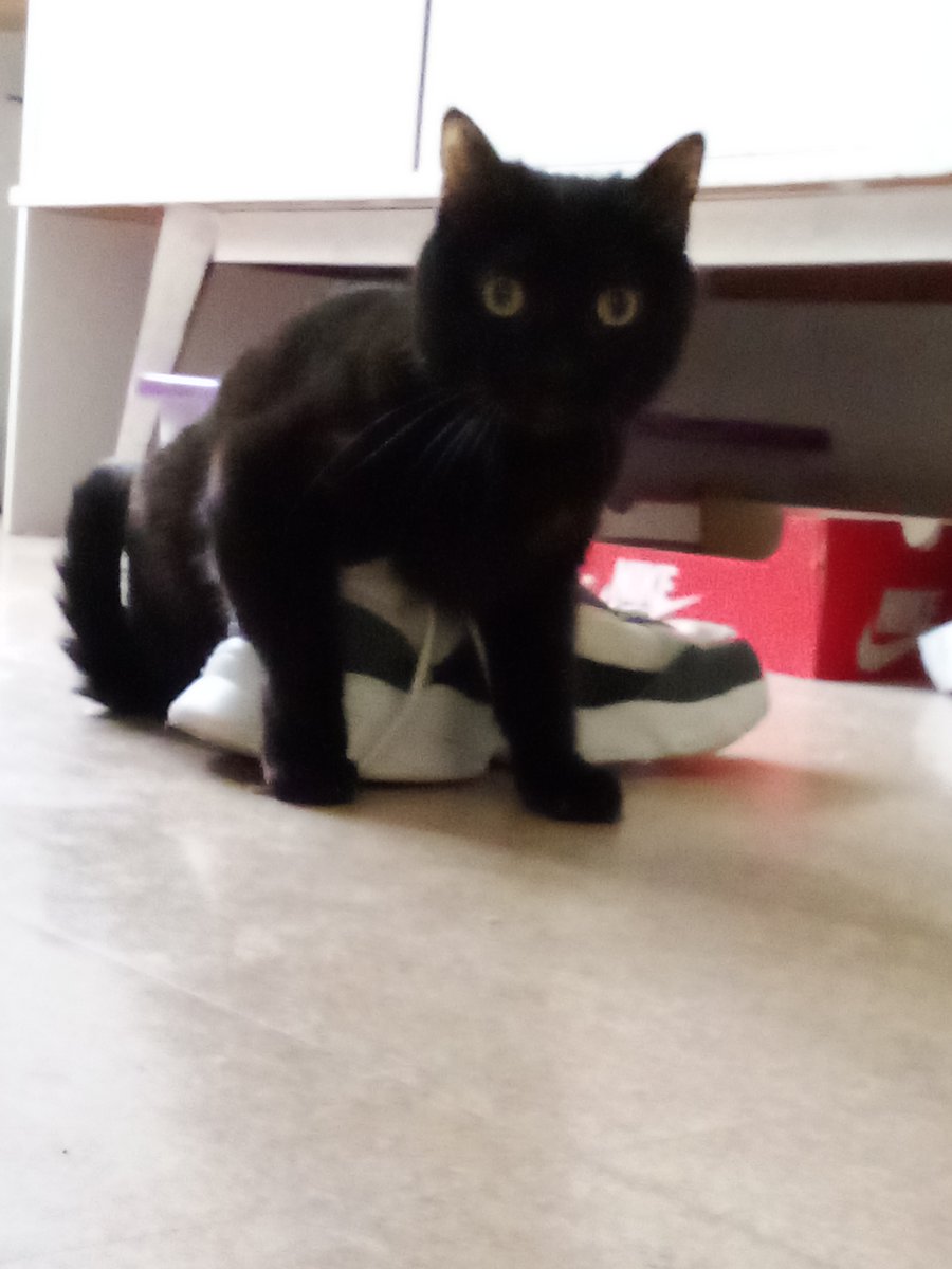 FlammeLe's tweet photo. @Mathookee Meilleur facette 9 ans de bêtise et de mignonerie https://t.co/IS1mt7dJbI