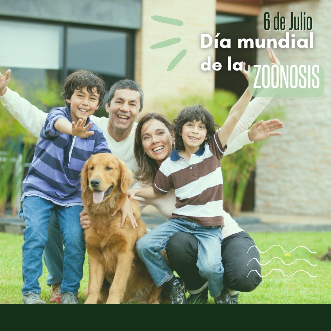 +60 % de las #enfermedadesinfecciosas humanas tienen origen animal. Como veterinari@s clínic@s, somos clave en la prevención.
Hoy, #DíaMundialDeLaZoonosis, recordamos nuestro rol en #OneHealth.
¡Hagamos visible nuestro valor como agentes de salud pública!
#Zoonosis #veterinaria