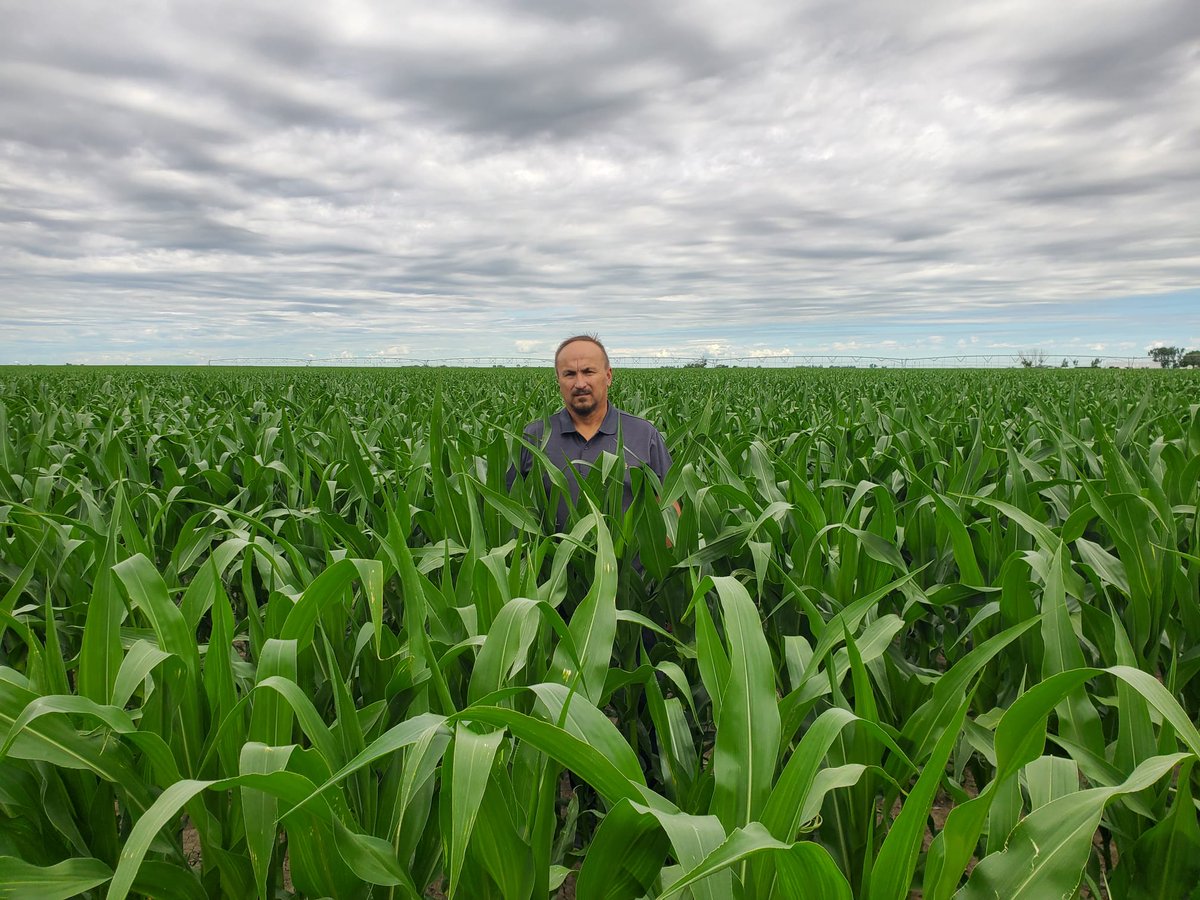 Knee high by the 4th of July! 😂 I think we hit that goal!