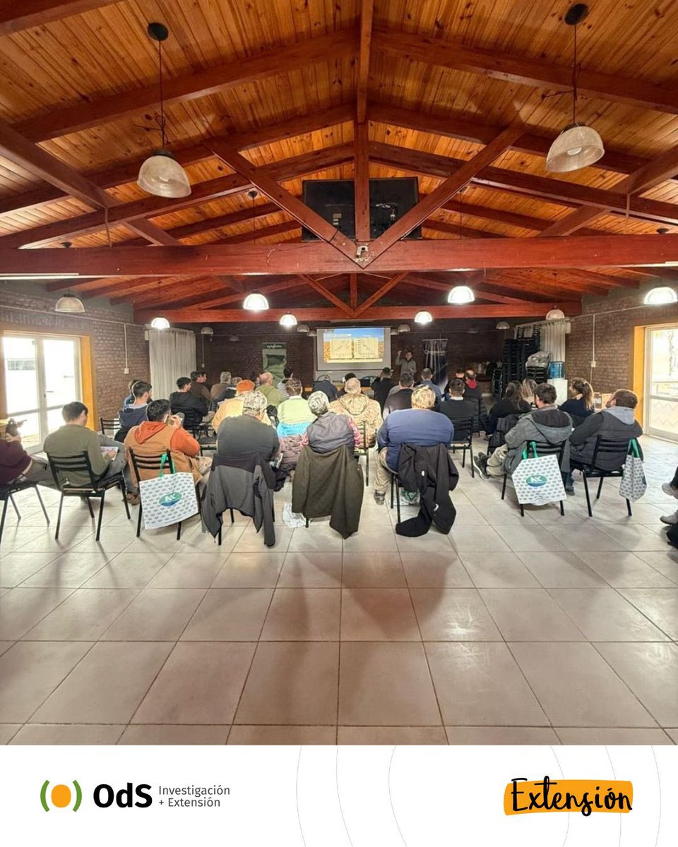 🌻 Estuvimos en Noetinger, Córdoba, acompañando a #DivisionAgropecuariaSA y <a href="/NKSemillas/">NK Semillas</a> en una jornada técnica dedicada al manejo del cultivo de girasol.

¡Gracias por la invitación y por generar estos espacios de intercambio técnico tan valiosos! 🙌🏼