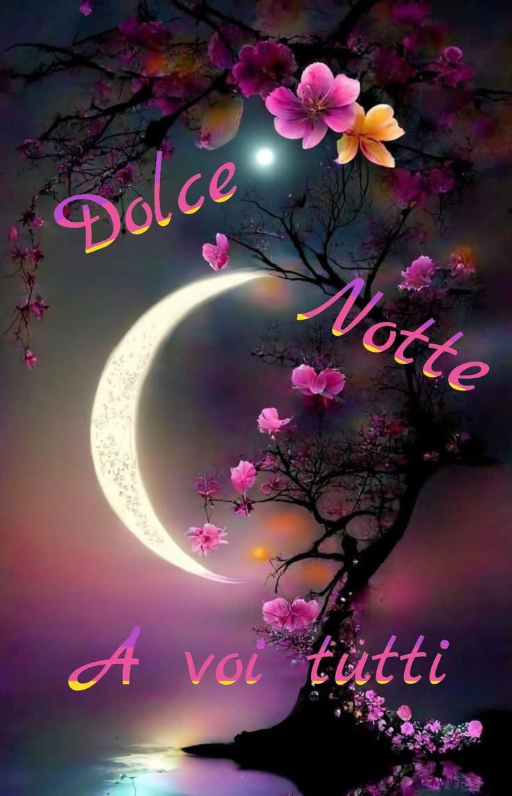 RITABIANCHi56 tweet media