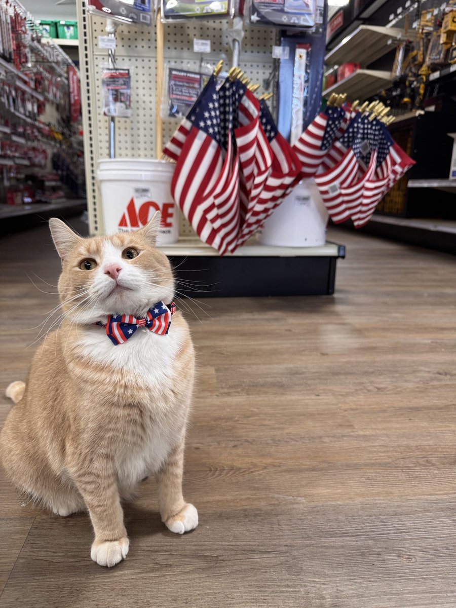 AubuchonHrdware's tweet image. Wishing everyone a fun and safe 4th of July! 🇺🇸