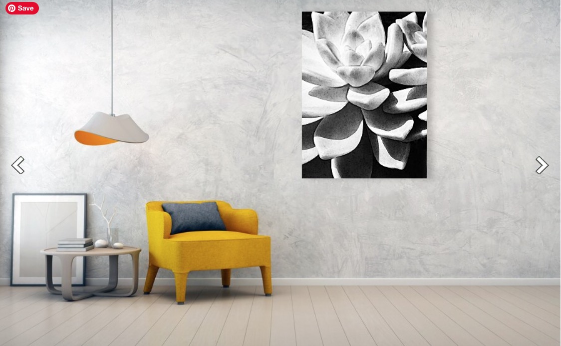 Black And White Succulent: fineartamerica.com/featured/black… #blackandwhite #art #artwork #plant #plants #succulent #succulents #homedecor #homeinteriors #home #interior #interiors #interiorstyle #buyintoart by #SharonCummingsArt