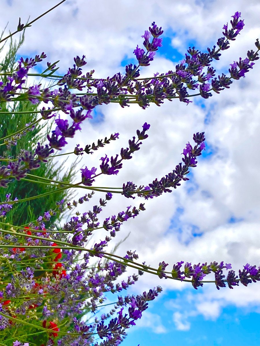 Happy Weekend Everyone!