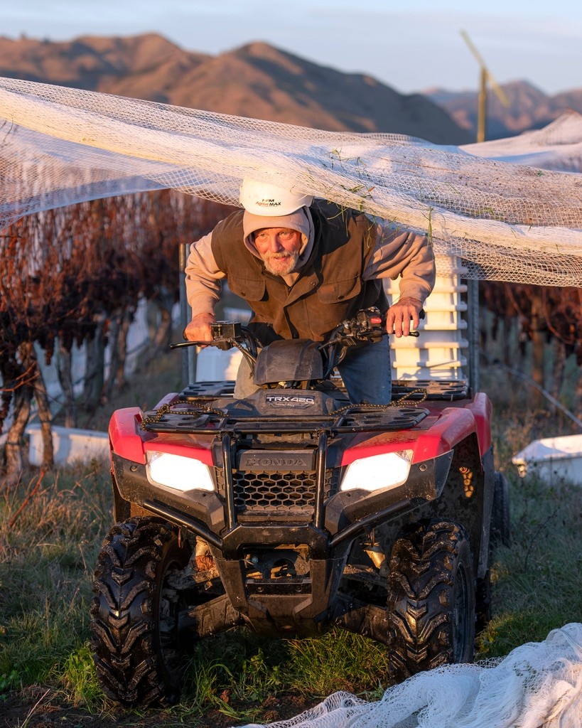 Greywacke tweet media