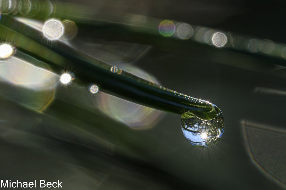 It was just like this this morning.