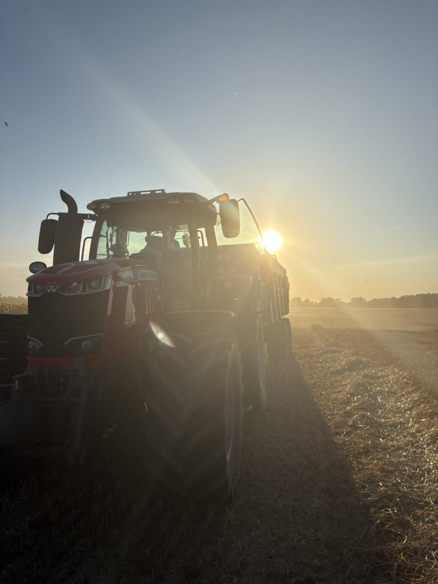 Pleine moisson ! C'est dans ces moments que je me dis que j'ai la plus belle vie du monde. Vivre avec la terre, récolter les fruits d’un travail de passion, quel bonheur simple et authentique. ✨ 
🌾🌾🌾🌾
Ce qui me ravit le plus c’est cette gaieté qui accompagne la chaleur de