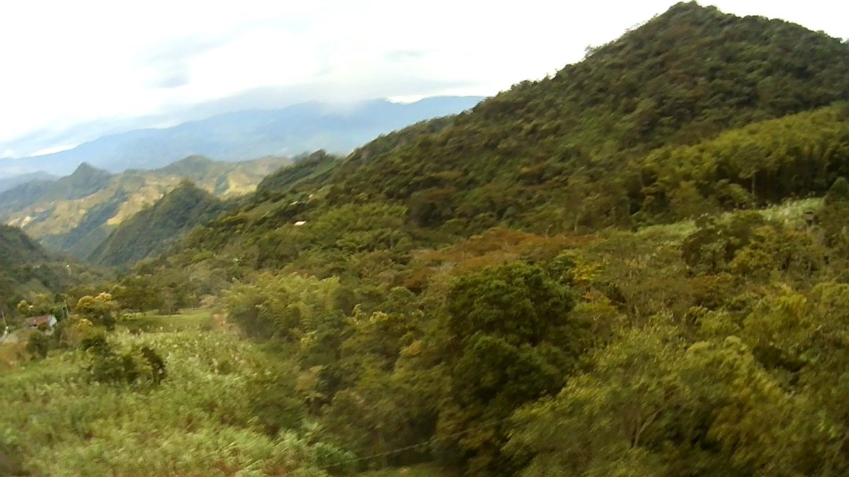 Alexand8474944's tweet photo. Quienes por Madrid Cundinamarca, manito arriba https://t.co/CeMqa21X1j