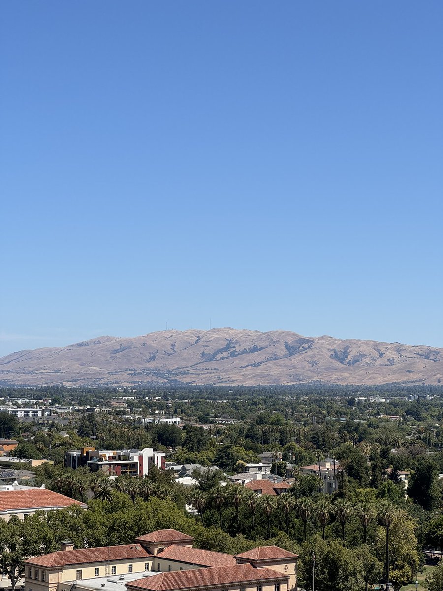 JPEGuin's tweet image. Life update: Moved to sunny California on an O1 visa 🇺🇸🐻