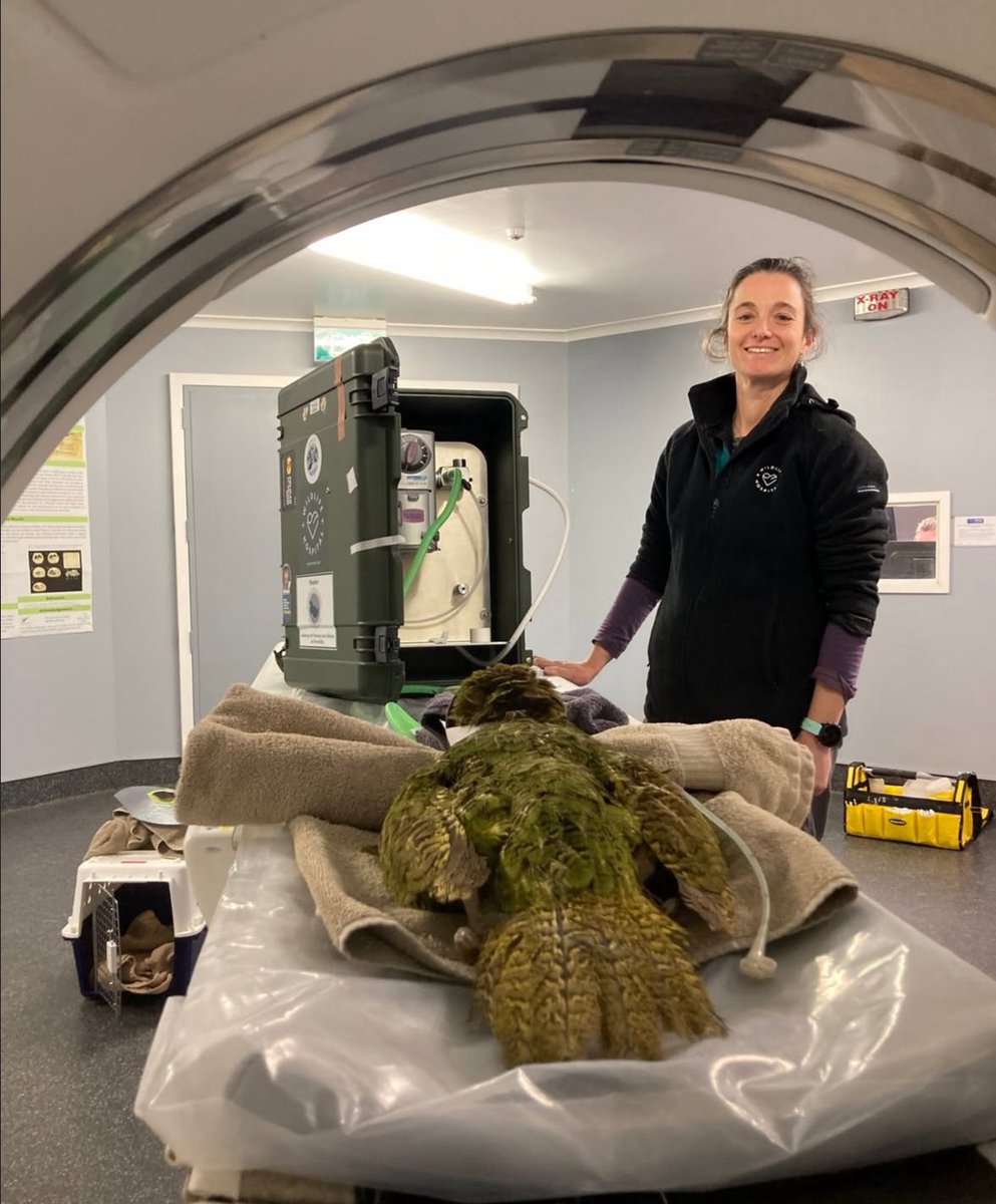 BasqueOli's tweet image. #experiments