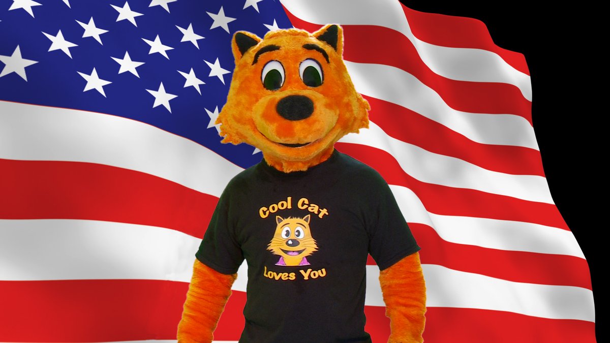 Cool Cat tweet media