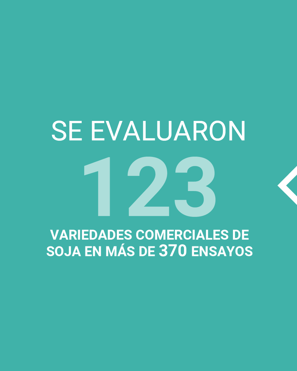 Con rendimientos promedio superiores a los 4200 kilos por hectárea en la zona núcleo, la RECSO, integrada por el <a href="/intaargentina/">INTA</a> y la <a href="/ASASemilleros/">ASA</a>, presentó los resultados de la campaña 2024/25.

👉bit.ly/4lac6E3