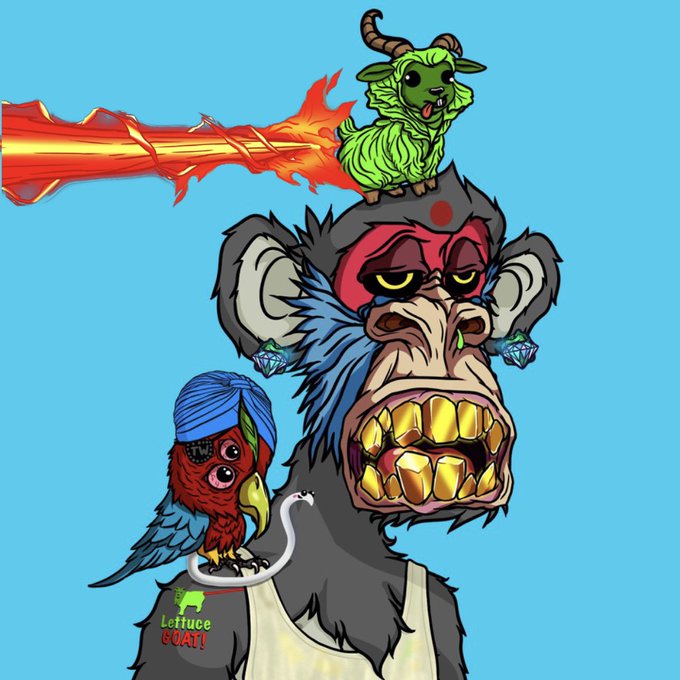 DiamondJeeter's tweet image. EVERY MUTANT NEEDS A LETTUCE GOAT!
@OrdiMutants