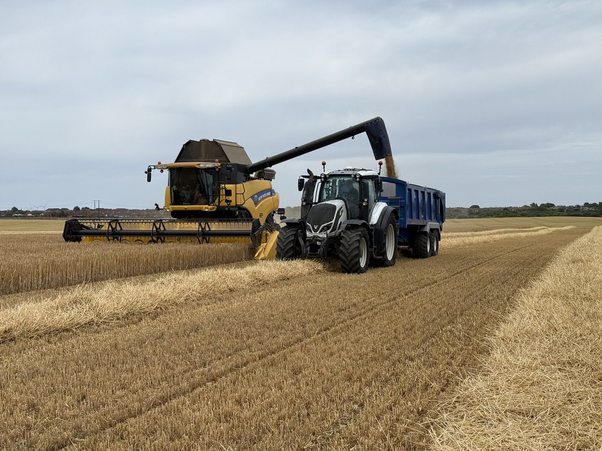 Managed to get the winter barley gathered up today