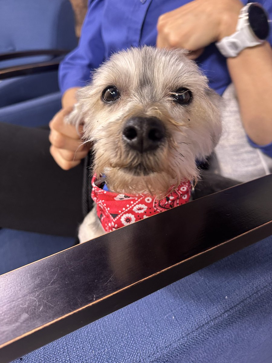 Alex Corradetti (@alexcorradetti) on Twitter photo ❤️Our pet of the day Bandz was adorable! Adopt him tomorrow from <a href="/WiscHumane/">Wisconsin Humane Society</a>. They open at 10 am!
He was an angel on the <a href="/CBS58/">CBS 58 News</a> Morning News! ❤️Our pet of the day Bandz was adorable! Adopt him tomorrow from <a href="/WiscHumane/">Wisconsin Humane Society</a>. They open at 10 am!
He was an angel on the <a href="/CBS58/">CBS 58 News</a> Morning News!