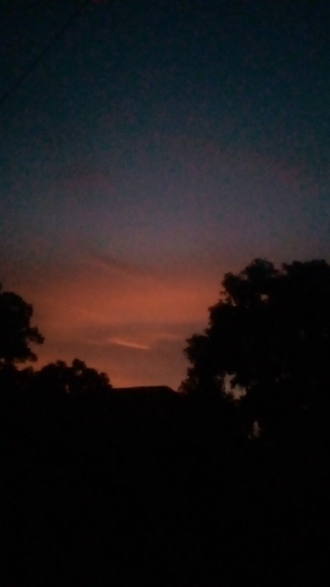 Wbat beautiful an amazing its