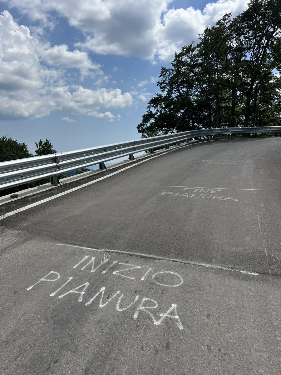 Michele Pelacci tweet media