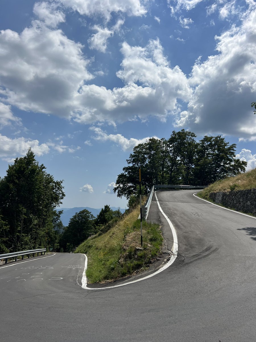 Michele Pelacci tweet media