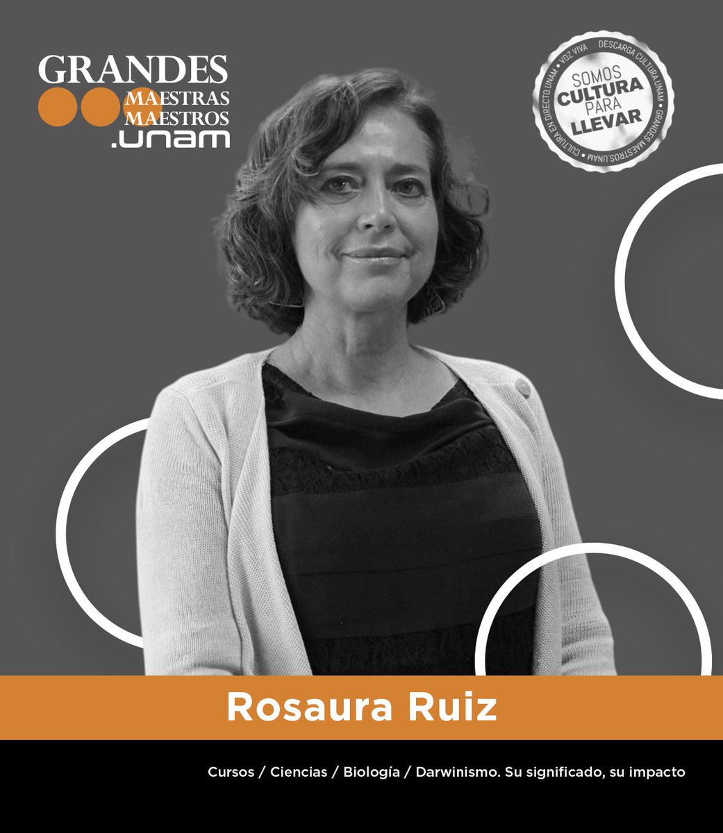 Rosaura Ruiz es una de las principales figuras en la biología evolutiva en México. Para #GrandesMaestrosUNAM compartió el curso «Darwinismo. Su significado, su impacto». Conoce más sobre el legado de la autora, quien hoy festeja su cumpleaños.💐 bit.ly/3Q1ryVy
