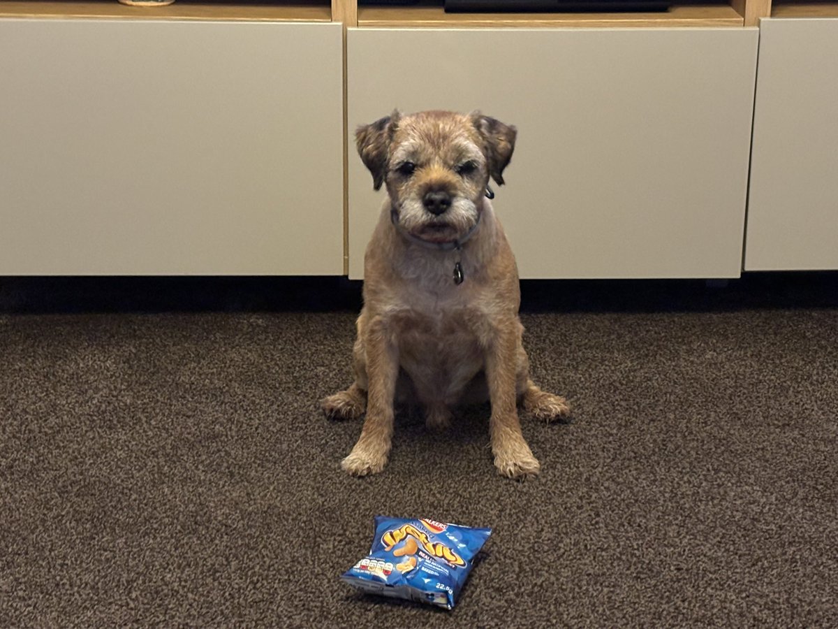 #WotsitsForScrappy