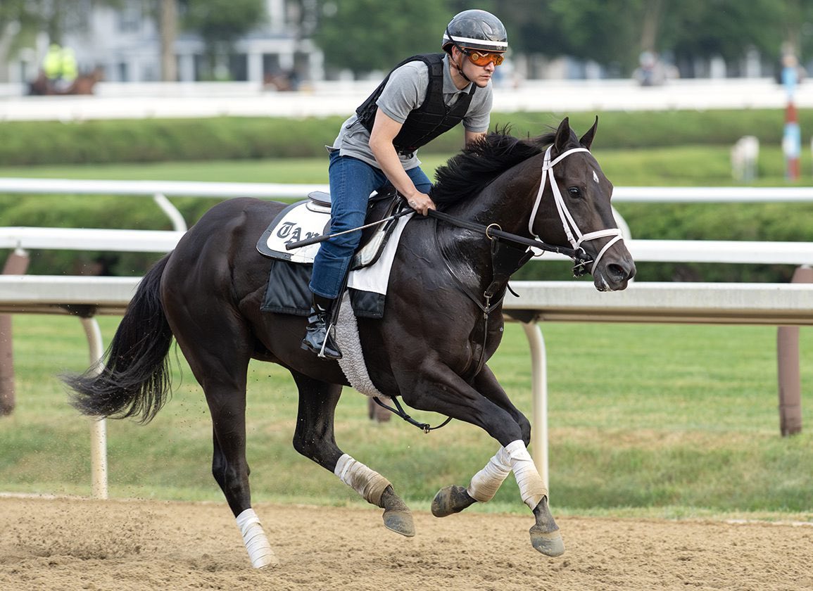 talal2fahad5's tweet photo. Bento Express truly looks the part — a beautifully built colt with real talent under the hood. His debut is set for tomorrow, and we’re excited to see him in action. Wishing the best of luck to Repole Stable with this promising runner! #BentoExpress #RepoleStable #HorseRacing #FutureStar #ThoroughbredRacing #RacingDebut”
@RepoleStable