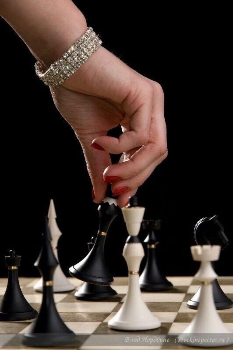 فوضوية الحياة ..
أن يبقى كل شيء على حاله ..
دون أن يتغير ..
لذلك عليك أن تُجازف ..

#غرامي_أجمل