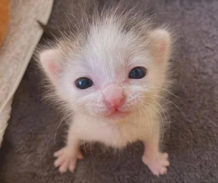 I still have a ton of stuff even after stream, I'm gonna have to do a part 2 for this!! Hope you all had fun &amp; stay safe!!