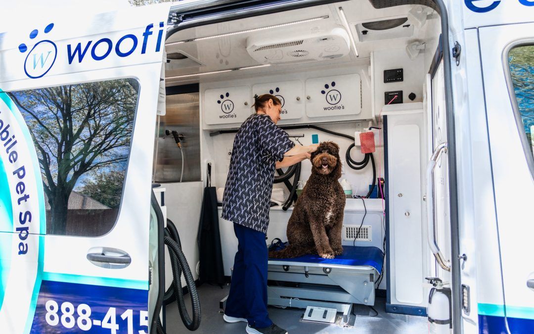 How National Partnerships Are Enhancing Woofie’s Services 

franchisingmagazineusa.com/special-featur…