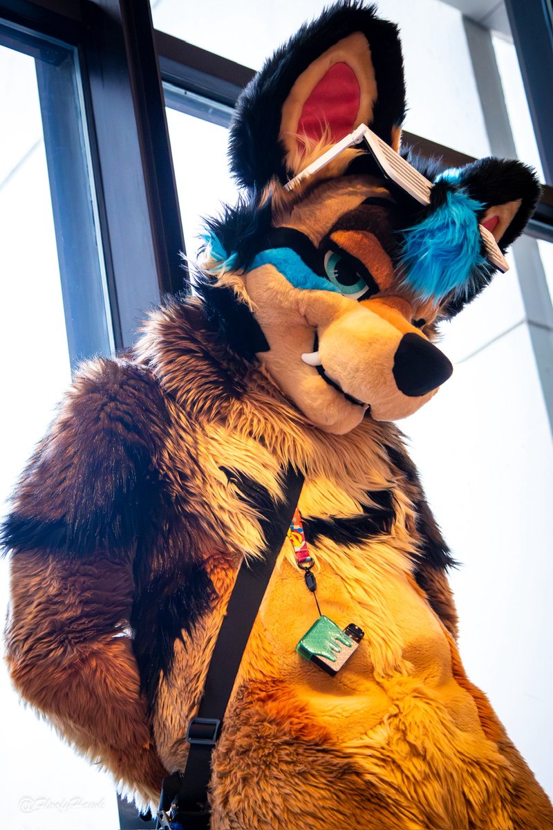 Just here to light up your feed this Fourth of July 🎆 #FursuitFriday 

📸: <a href="/FloofyHawk/">HawkPool</a> 
🪡: <a href="/WildDogWorks/">WildDogWorks.com on 🦋</a>