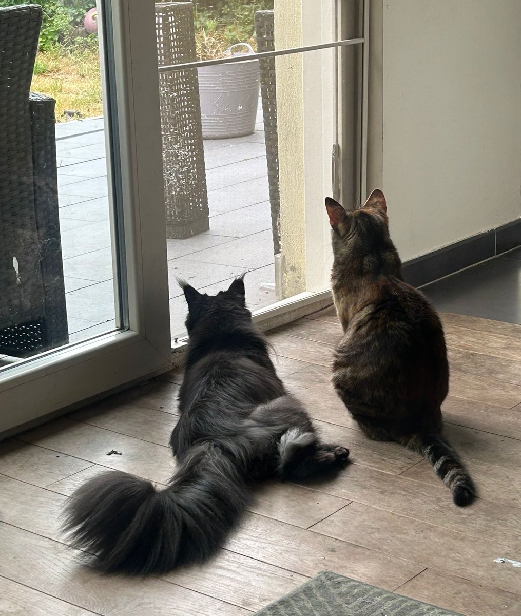 looking outside with binjuice