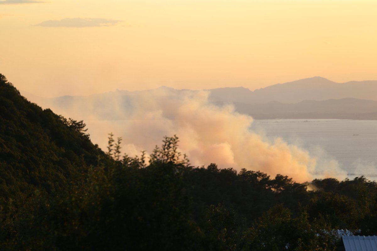 sputnik_TR's tweet photo. 🔥Hatay Dörtyol'da 9 yayla boşaltıldı, bin 800 kişi tedbir amacıyla tahliye edildi. Yangın Payas ilçesine kadar ulaştı https://t.co/JUL1BK7oGh
