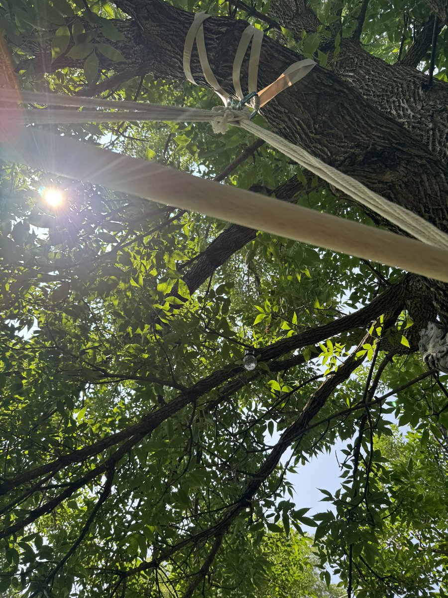 Current view