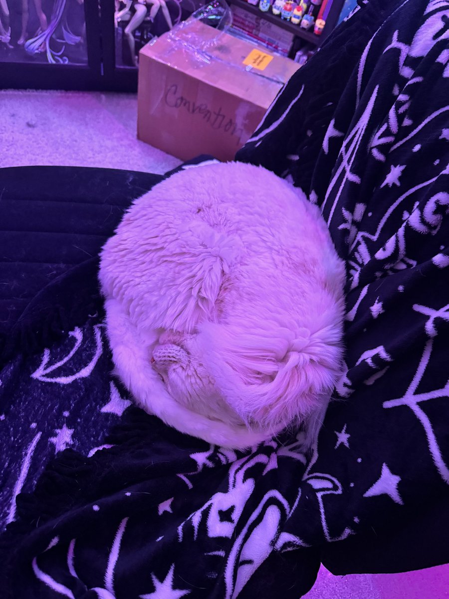 Wooper, My beautiful precious baby boy
I love you so much, I will never stop loving and remembering every single moment we had. I know this isn’t a goodbye, I’ll see you in heaven. But life is so fucking unfair to take you so young…please hug your pets tight for me. He was very
