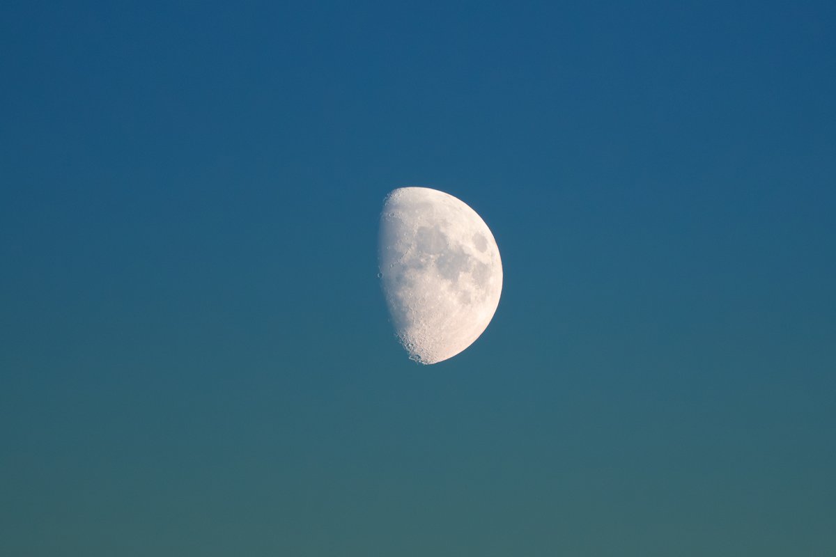 🇦🇱 tweet media