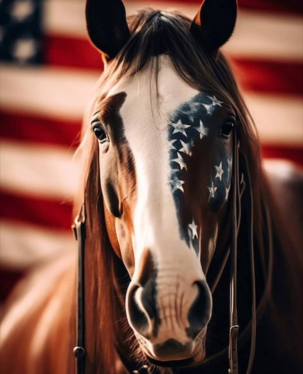 Susan (@emma6usa) on Twitter photo Independence Day ๐บ๐ธ MAGA MAHA WWG1WGA.
<a href="/thames_tim/">Just a Redneck From The South</a>
<a href="/bdonesem/">๐ ๐๐ฑ๐ฒ๐ผ๐น๐ฎ๐ป ๐ ( โ๐๐ต ) ๐</a>
<a href="/TJLakers01/">Tim Lawrence</a>
<a href="/1OgOutlaw/">ฯg ััฯฮฑั ฯฯ
ัโฮฑฯ๐ซโญ๏ธ</a>
<a href="/janninereid1/">Jannine.. #MagaMemeQueen โข๏ธ ๐๐บ๐ธ</a>
<a href="/1mZerOCool/">1mZerOCool๐๐ธ๐ค</a>
<a href="/thejoker4624/">Rebs Fan and Reagan Conservative</a>
<a href="/TonemanLives/">TonemanLives ๐บ๐ธ๐ฎ๐น</a>
<a href="/francklyspoken/">Franck Moore ๐
</a>
<a href="/MLimpact0804/">Maureen Lopez</a>
<a href="/1TexasRednecker/">1 of many</a>
<a href="/DragonSword778/">DragonSword778</a>
<a href="/JanetTX_Blessed/">๐๏ธGrateful Heart๐๏ธ</a>
<a href="/ken_kmak8542/">Ken Kmak @ken_kmak8542</a>
<a href="/GaryAdams713/">Gary Adams</a>
<a href="/helen44767171/">Elena</a> Independence Day ๐บ๐ธ MAGA MAHA WWG1WGA.
<a href="/thames_tim/">Just a Redneck From The South</a>
<a href="/bdonesem/">๐ ๐๐ฑ๐ฒ๐ผ๐น๐ฎ๐ป ๐ ( โ๐๐ต ) ๐</a>
<a href="/TJLakers01/">Tim Lawrence</a>
<a href="/1OgOutlaw/">ฯg ััฯฮฑั ฯฯ
ัโฮฑฯ๐ซโญ๏ธ</a>
<a href="/janninereid1/">Jannine.. #MagaMemeQueen โข๏ธ ๐๐บ๐ธ</a>
<a href="/1mZerOCool/">1mZerOCool๐๐ธ๐ค</a>
<a href="/thejoker4624/">Rebs Fan and Reagan Conservative</a>
<a href="/TonemanLives/">TonemanLives ๐บ๐ธ๐ฎ๐น</a>
<a href="/francklyspoken/">Franck Moore ๐
</a>
<a href="/MLimpact0804/">Maureen Lopez</a>
<a href="/1TexasRednecker/">1 of many</a>
<a href="/DragonSword778/">DragonSword778</a>
<a href="/JanetTX_Blessed/">๐๏ธGrateful Heart๐๏ธ</a>
<a href="/ken_kmak8542/">Ken Kmak @ken_kmak8542</a>
<a href="/GaryAdams713/">Gary Adams</a>
<a href="/helen44767171/">Elena</a>