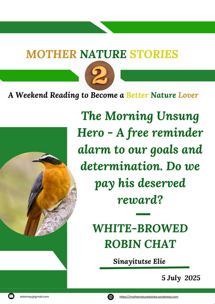 Dear friends,

For MOTHER NATURE STORIES
A Weekend Reading to Become a Better Nature Lover

Your #MotherNatureStory 2 is written for you! Spend your weekend reading to become a better Nature Lover!  
Your full story is here: drive.google.com/file/d/1TBtBJf… 

#MotherNatureStories