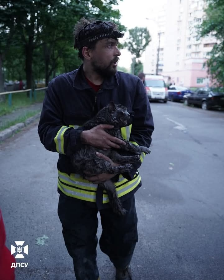 Притулок Мурчики Київ (@murchikiua) on Twitter photo До речі ця людина <a href="/MihMantis/">Михайло Сторожук</a>, рятувальник доброволець
Якщо твітеру цікаво - завтра розкаже історію порятунку кішки на фото, яку витягнули з палаючої після прильоту квартири
З вас підписка До речі ця людина <a href="/MihMantis/">Михайло Сторожук</a>, рятувальник доброволець
Якщо твітеру цікаво - завтра розкаже історію порятунку кішки на фото, яку витягнули з палаючої після прильоту квартири
З вас підписка