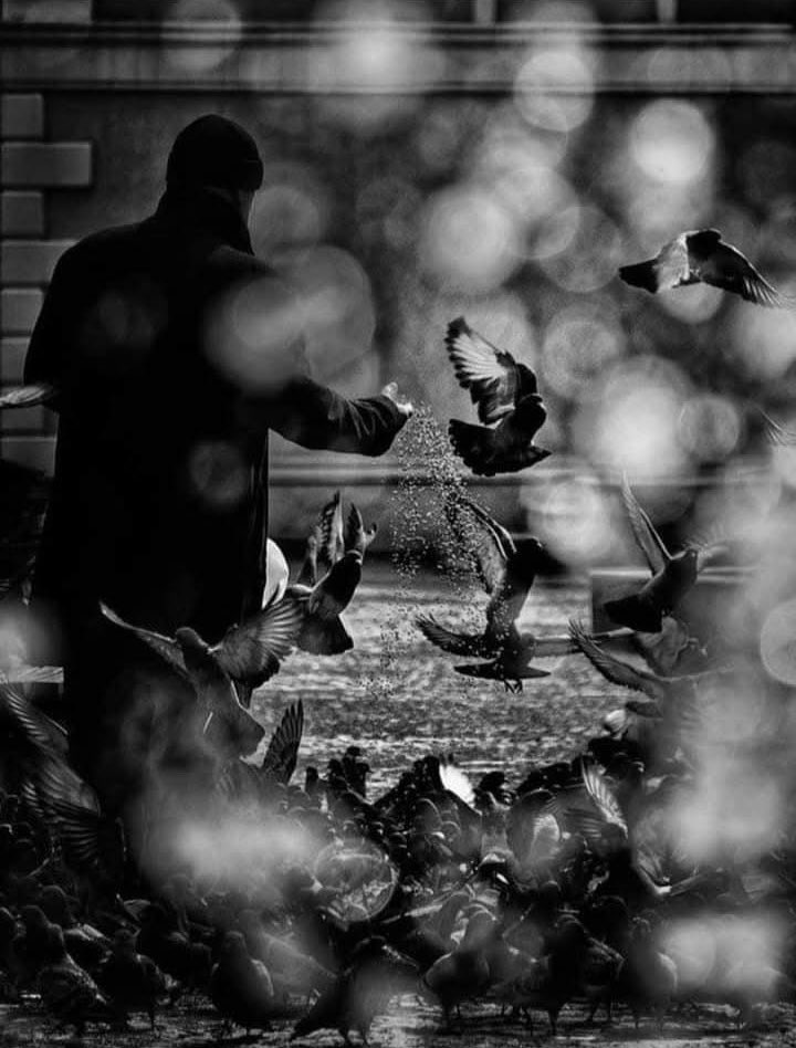 Hani anlamıyorum sanıyorsunuz ya!

SANMAYIN …