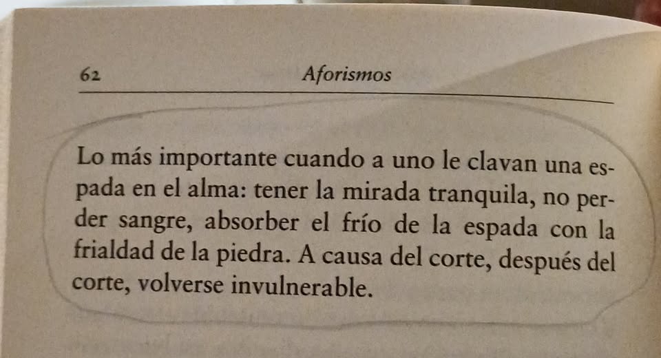 literlandweb1's tweet image. "Aforismos", Franz Kafka