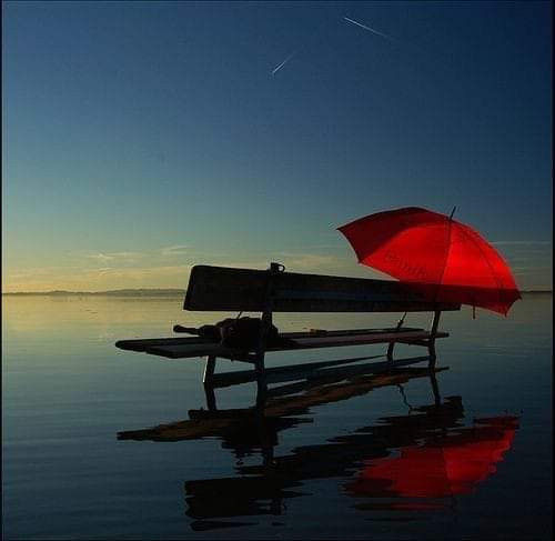 Gürültüsü büyüyünce sessizliğin,
Marifet, yosunlar gibi susmaktır...

             Can Yücel