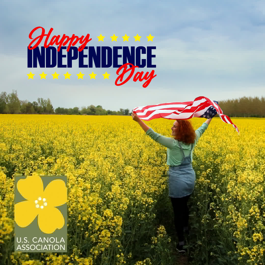 🇺🇸 Wishing you a safe and happy Fourth of July! #IndependenceDay
