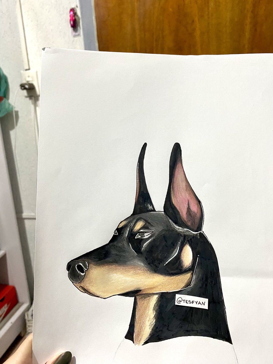 tesfyan's tweet photo. Cachorrinho https://t.co/geVhiqfvTz